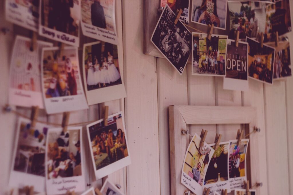 Grid of photographs representing an image dataset collection for machine learning